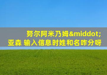 努尔阿米乃姆·亚森 输入信息时姓和名咋分呀